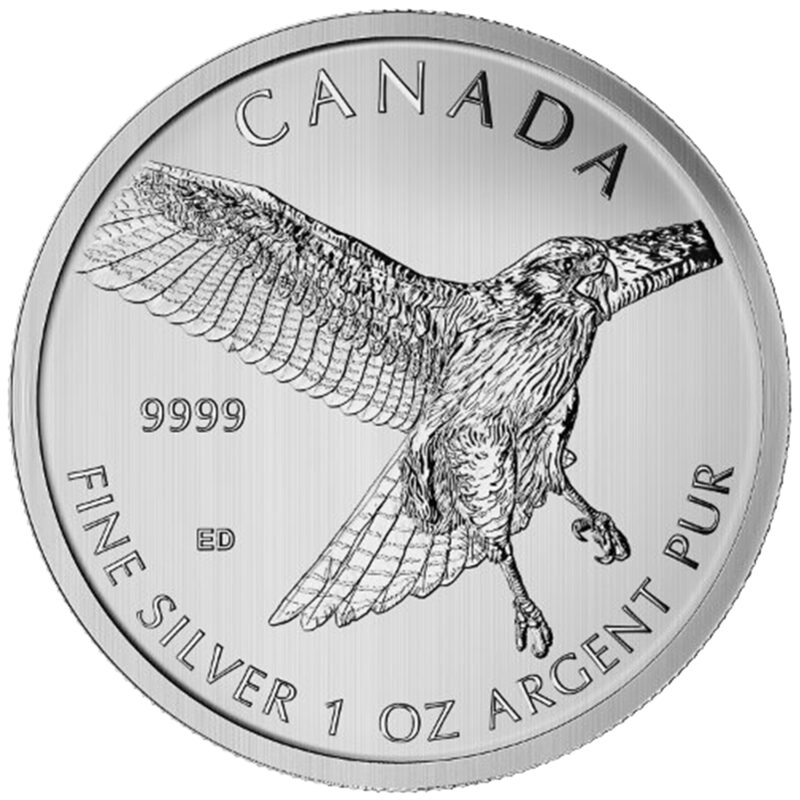 Canadian Red-Tailed Hawk 1 oz Silver Coin (Brilliant Uncirculated)