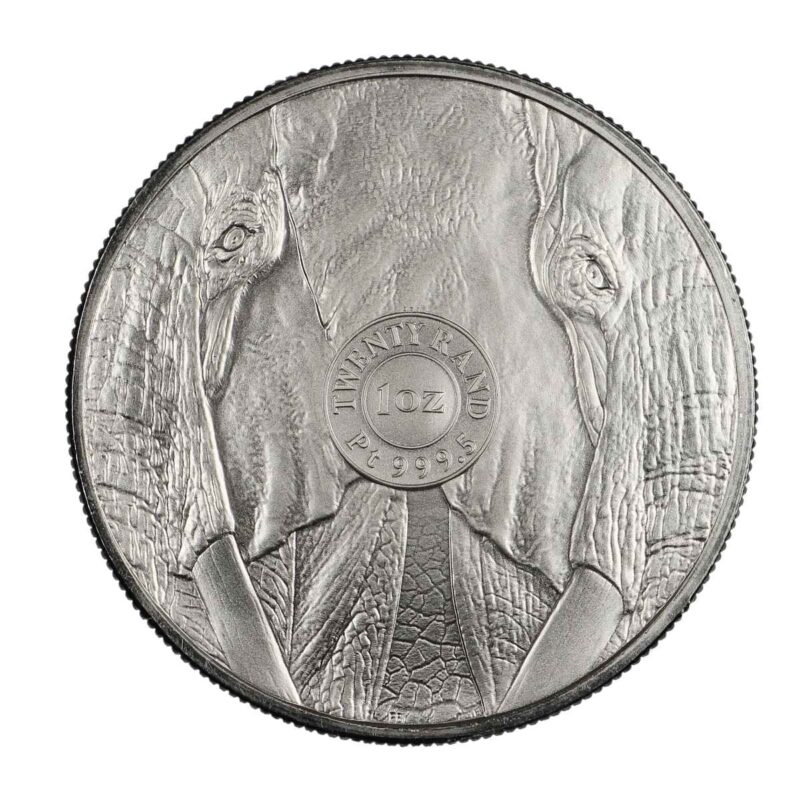 1 OUNCE PLATINUM SOUTH AFRICAN ELEPHANT - Image 2