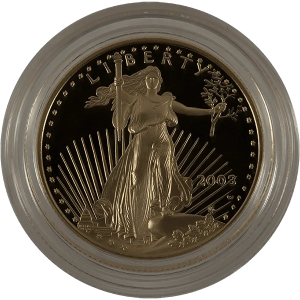 1/2 Ounce Proof Gold Eagle Cap/Slab (obverse)