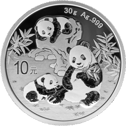 2025 30 Gram Chinese Silver Panda Coin