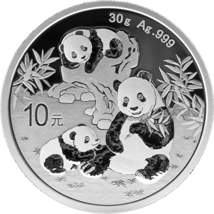 2025 30 Gram Chinese Silver Panda Coin
