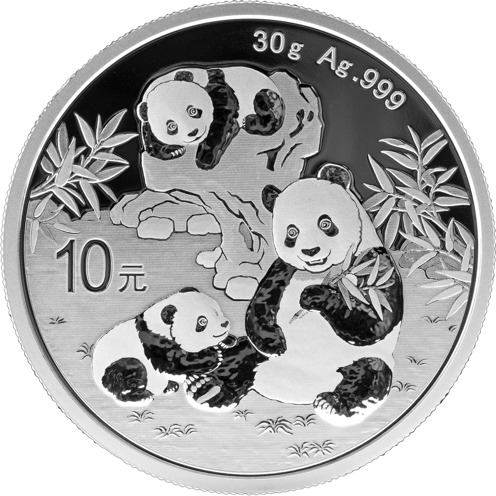 2025 30 Gram Chinese Silver Panda Coin