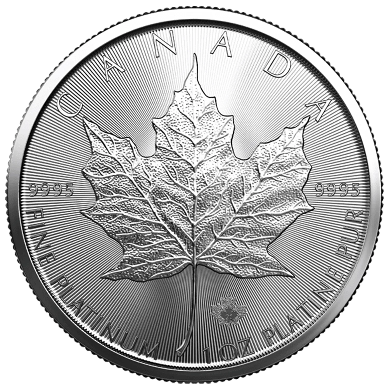 1 oz Canadian Silver Maple Leaf Coins (Tube of 25)